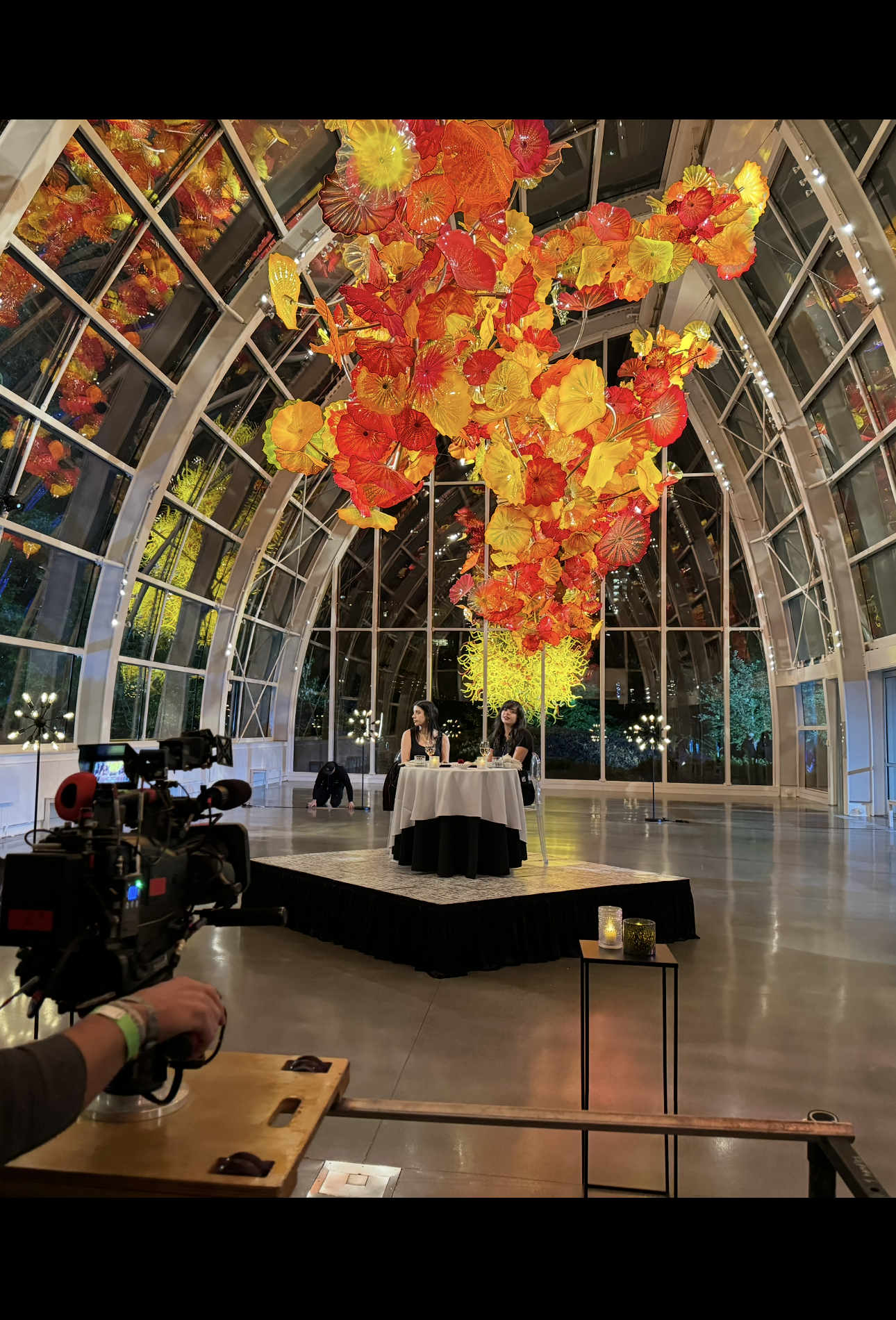Chihuly conservatory shoot